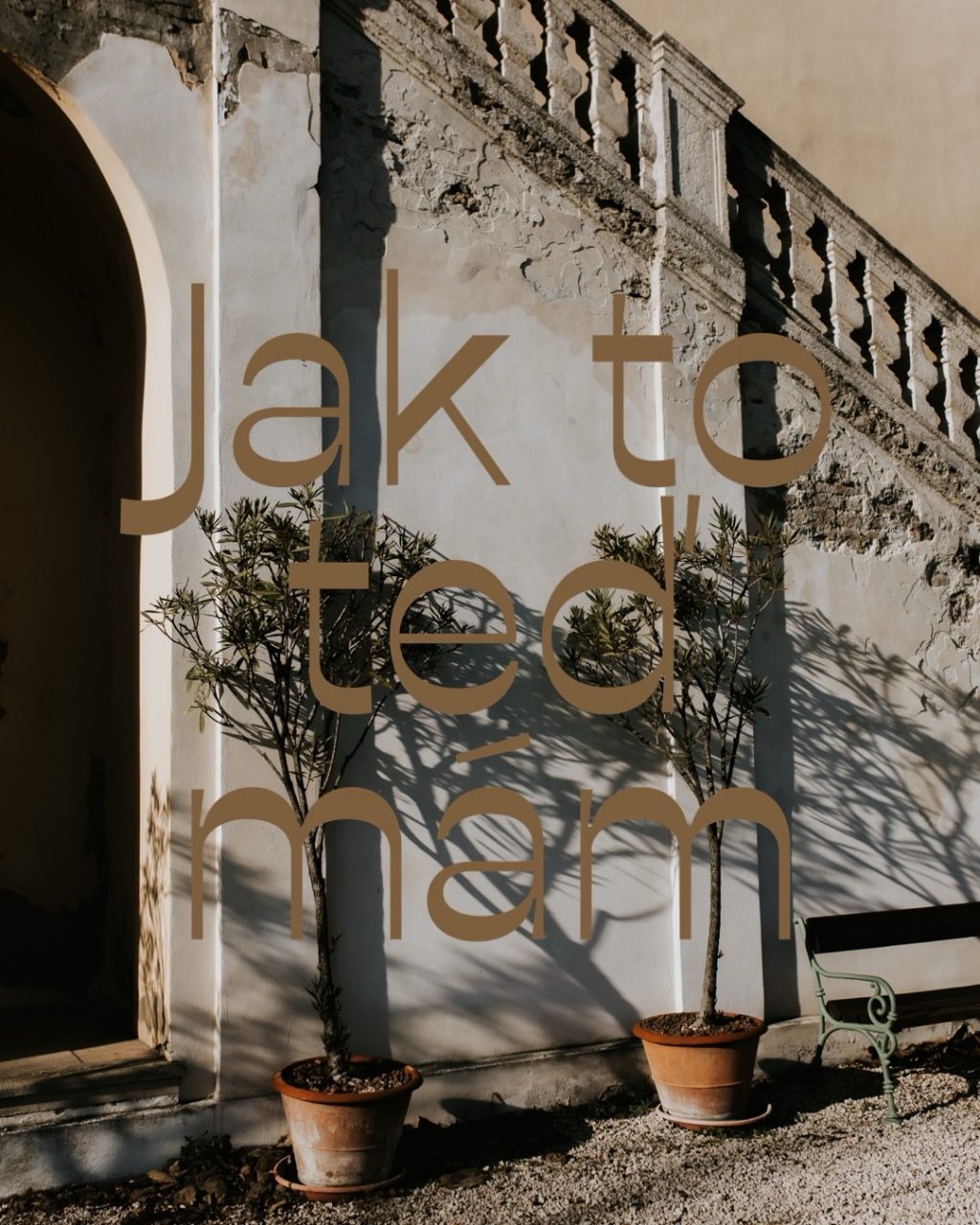 Instagram post from monikakovarovafoto. This post is in position 1.